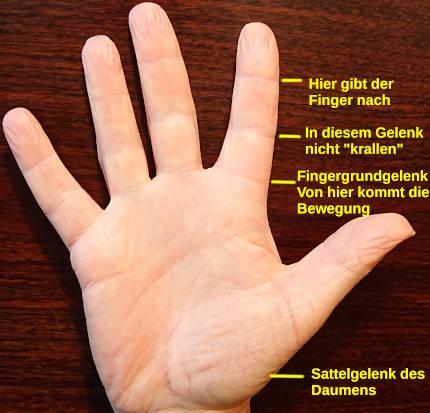 Fingergelenke